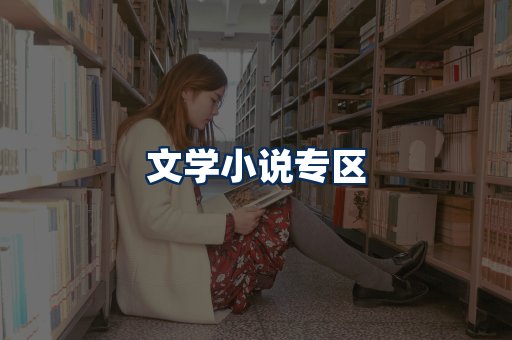 文学小说PDF展示
